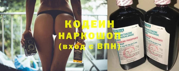индика Козловка