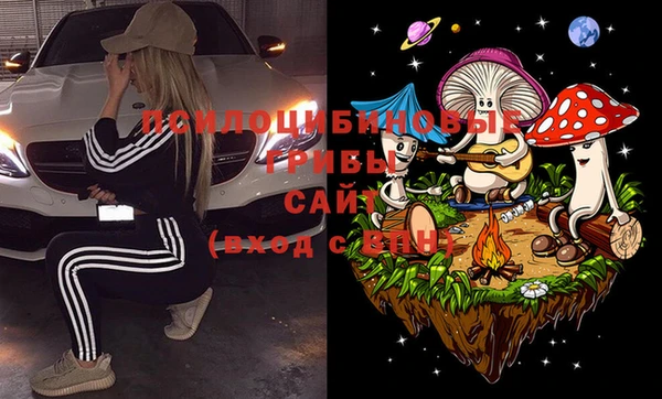 тгк Кодинск