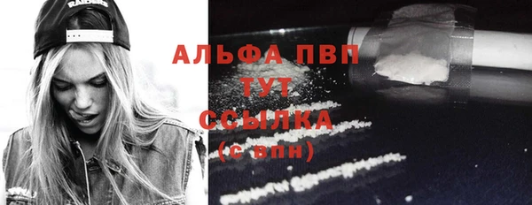 индика Козловка