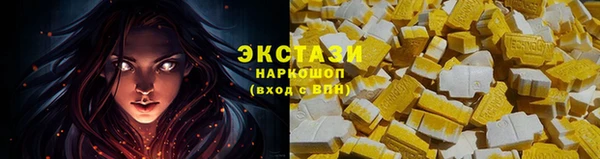 индика Козловка