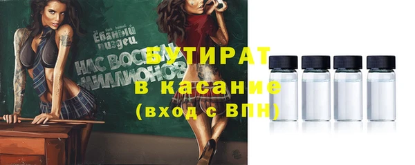 индика Козловка