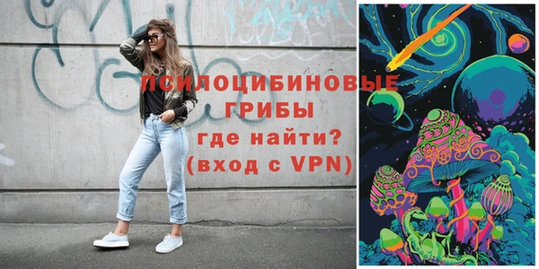 индика Козловка