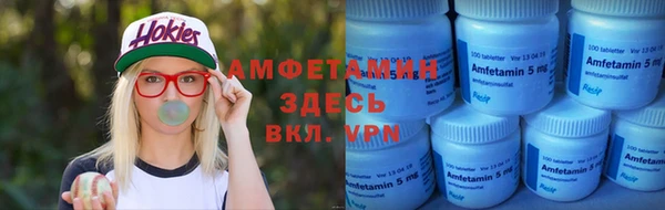индика Козловка