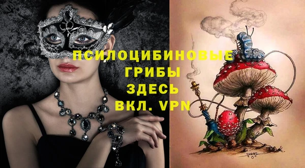 индика Козловка