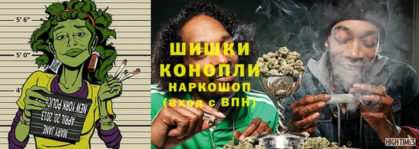 индика Козловка