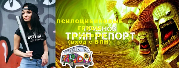 тгк Кодинск