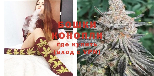 индика Козловка
