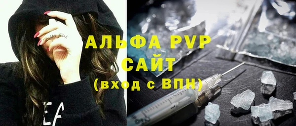 индика Козловка