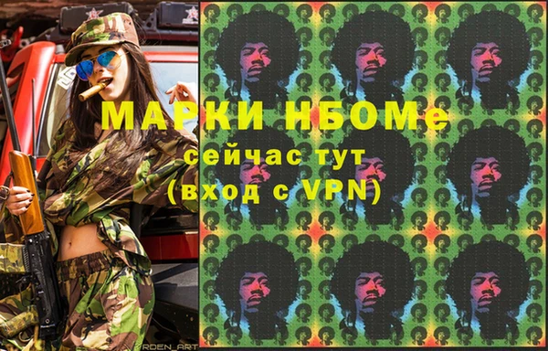 индика Козловка