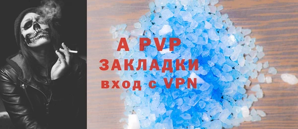 индика Козловка