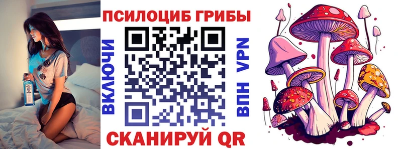 Псилоцибиновые грибы Cubensis  Купить где  Калач 